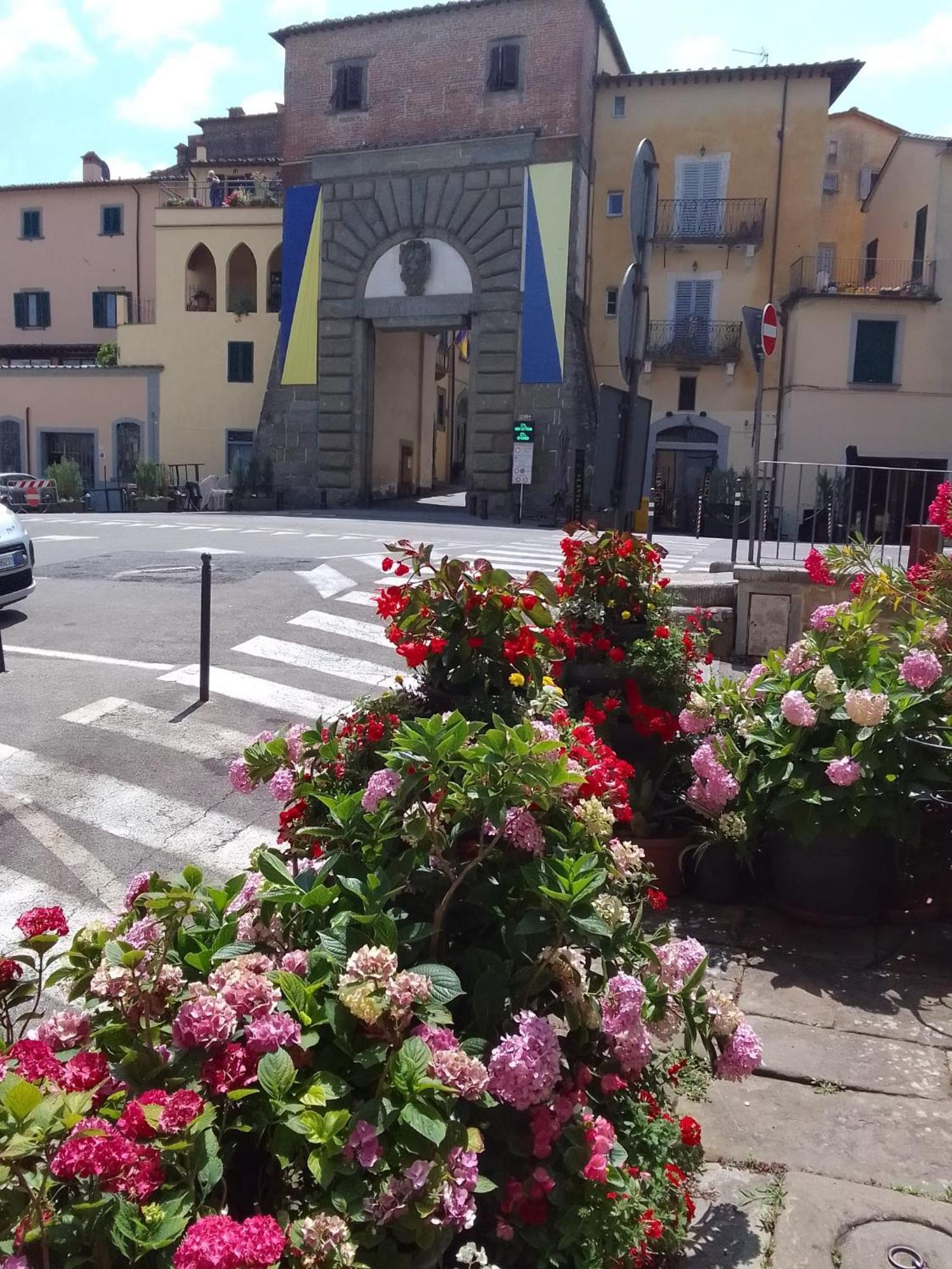 Dalla Carla In Toscana Monte San Savino Exterior foto